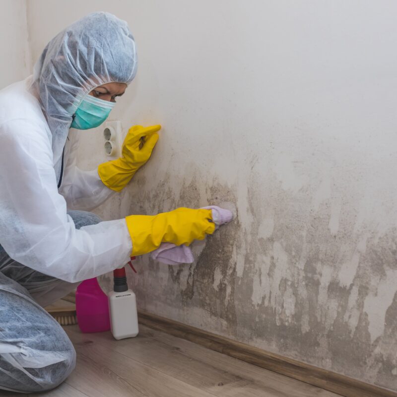 Can you stay in home during mold remediation?