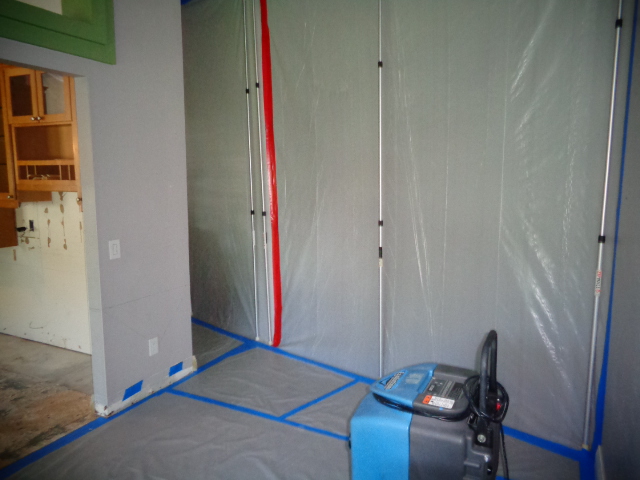 Mold Removal Tampa Services