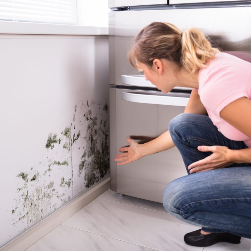 Selling a home with mold problems