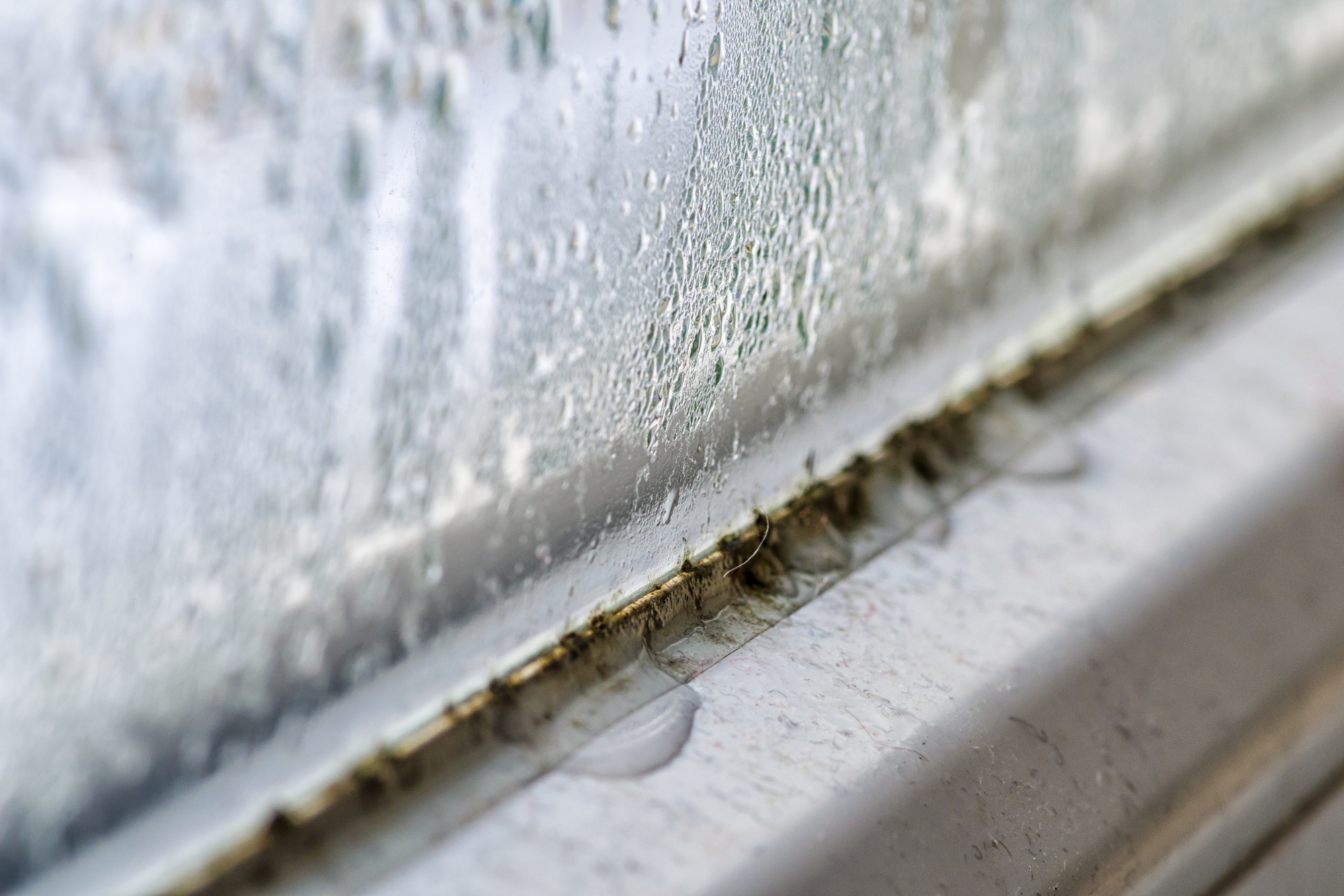 5 signs of mold forming in your home
