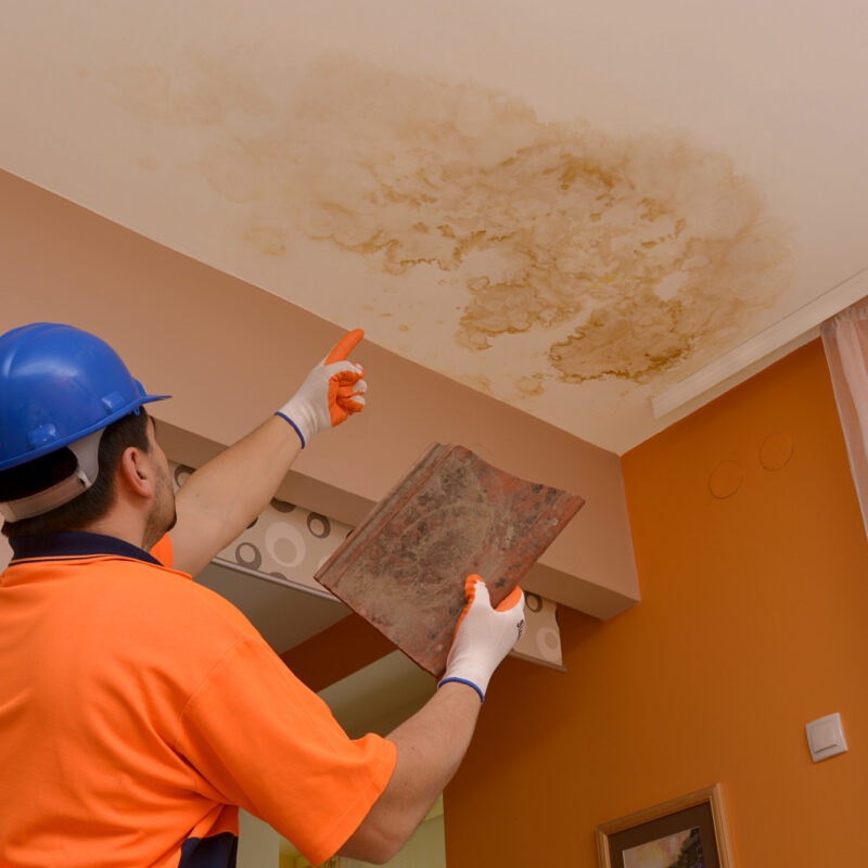 5 Signs of Water Damage in Your Home That You Shouldn’t Ignore