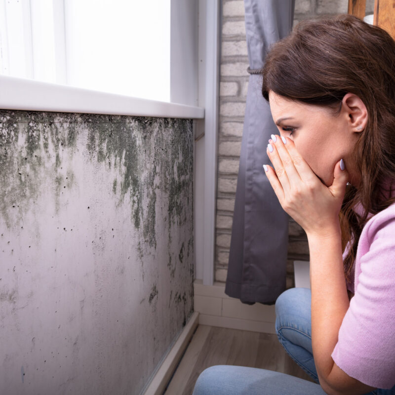 5 Signs of Mold in the Walls